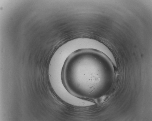 X0000061110383200512091823