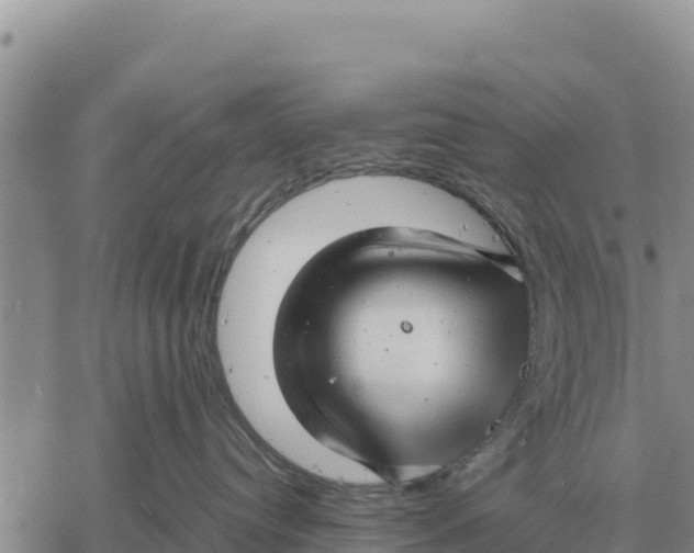 X0000061110384200512091823