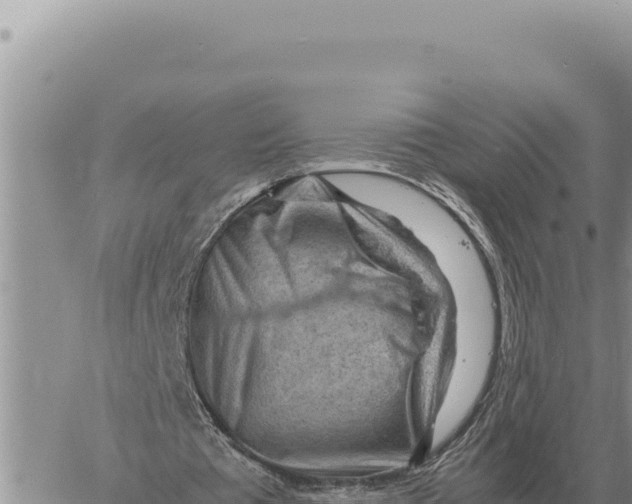 X0000061110385200512091823