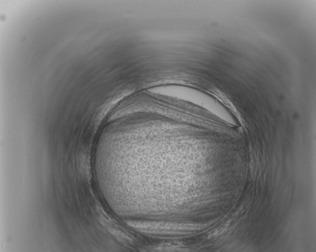 X0000061110386200512091823