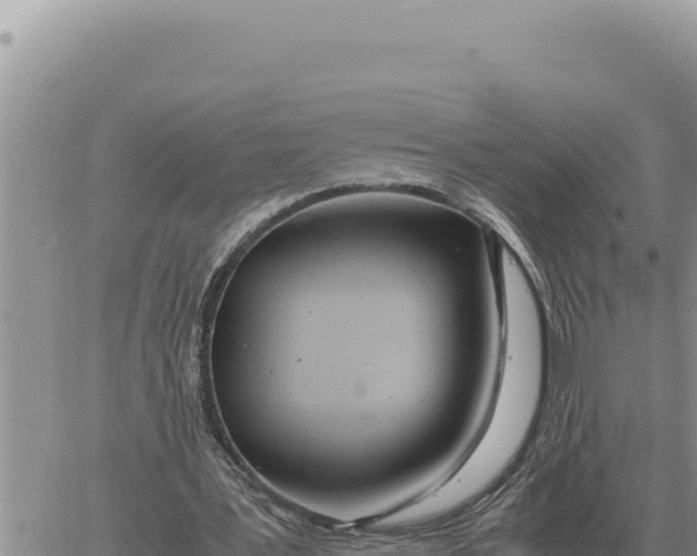 X0000061110387200512091823