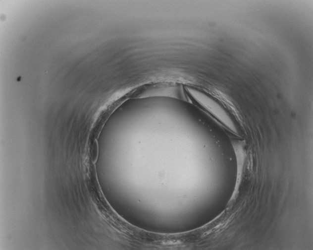 X0000061110388200512091823