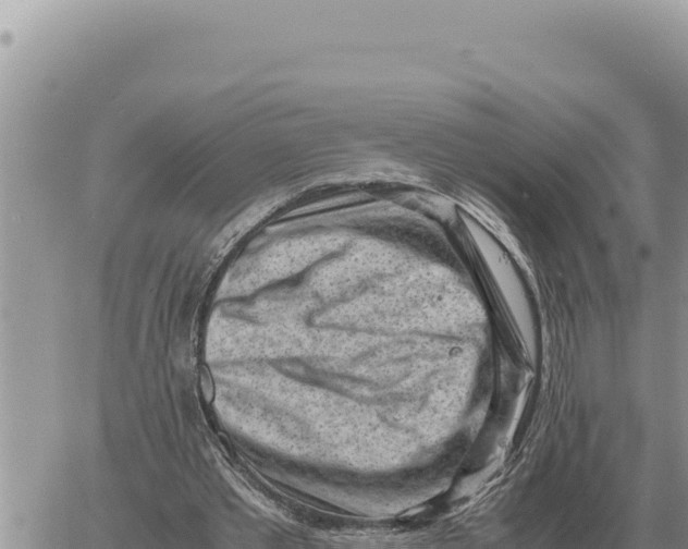 X0000061110389200512091822