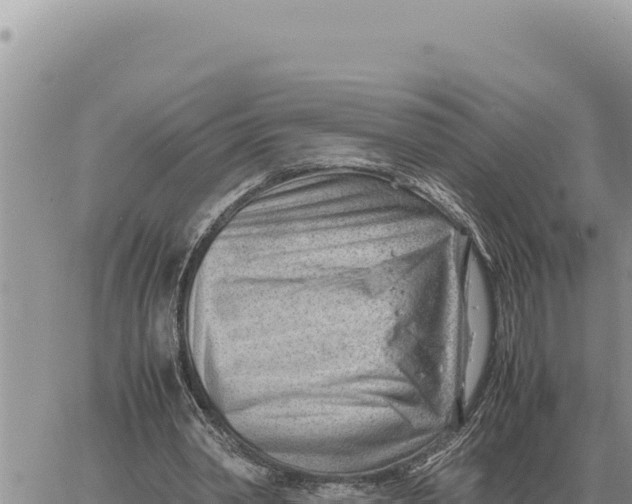 X0000061110390200512091822