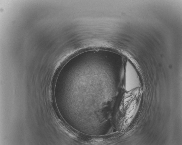 X0000061110391200512091822