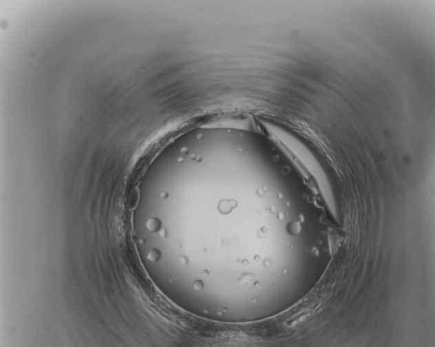 X0000061110392200512091822