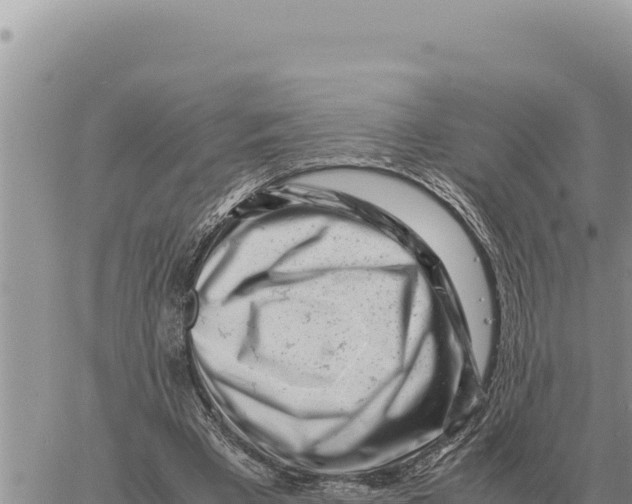 X0000061110393200512091822