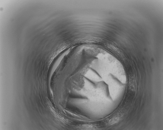 X0000061110394200512091822