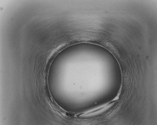 X0000061110395200512091822