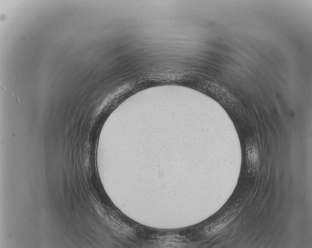 X0000061110396200512091822