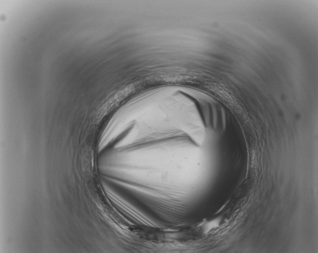 X0000061110397200512091822