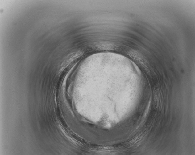 X0000061110398200512091822