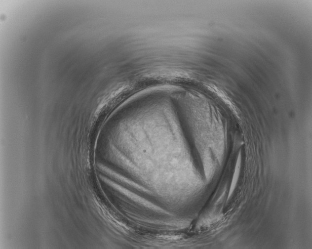 X0000061110399200512091822