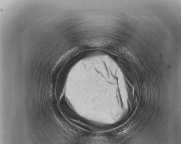 X0000061110400200512091822