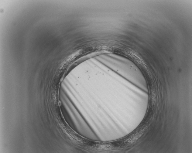 X0000061110401200512091822