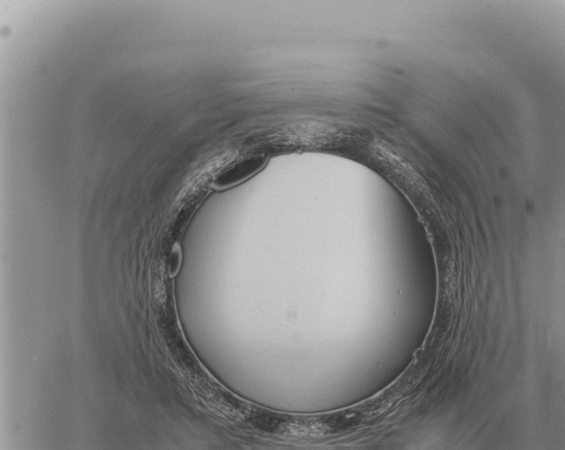 X0000061110403200512091822