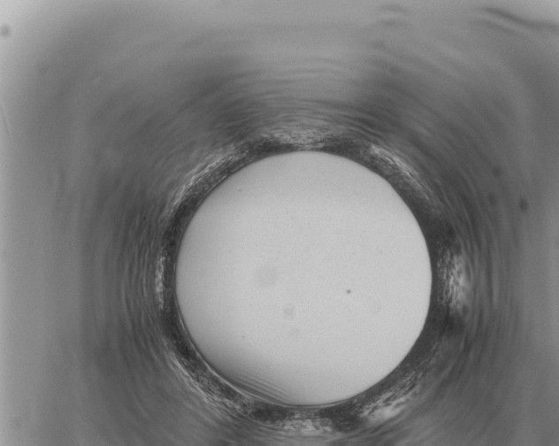 X0000061110404200512091822