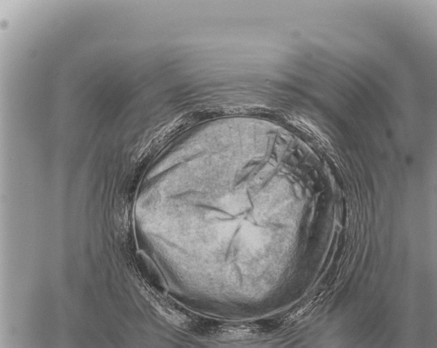 X0000061110405200512091822