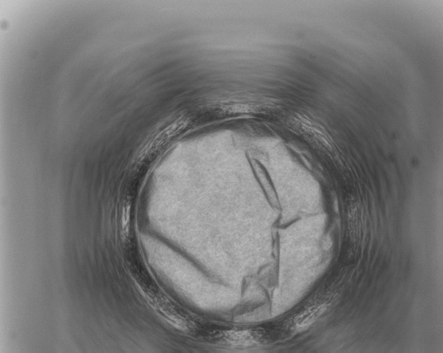 X0000061110406200512091822