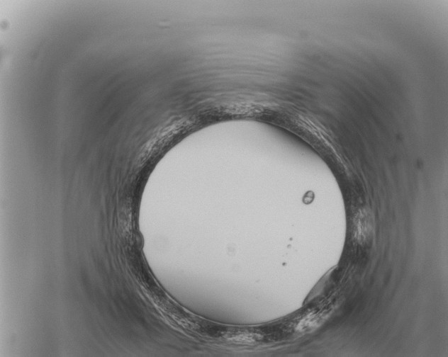 X0000061110407200512091822