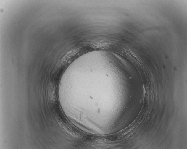 X0000061110408200512091822