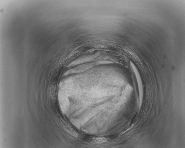 X0000061110409200512091822