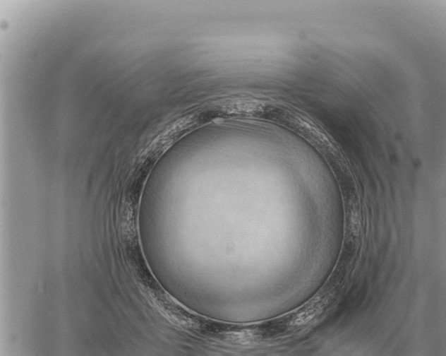 X0000061110411200512091822