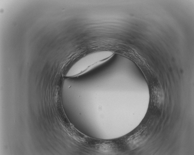 X0000061110412200512091822