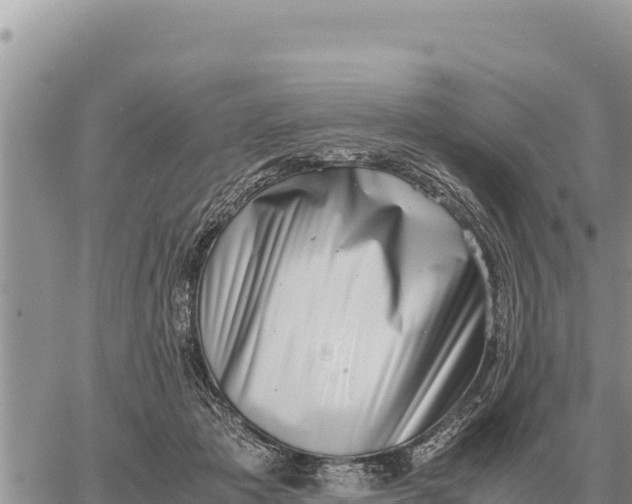 X0000061110413200512091822