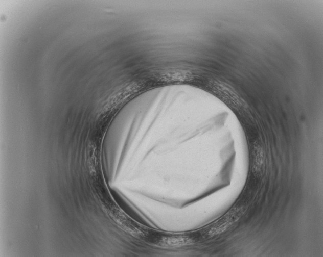 X0000061110414200512091822