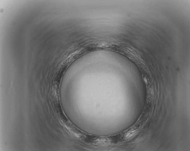 X0000061110415200512091822