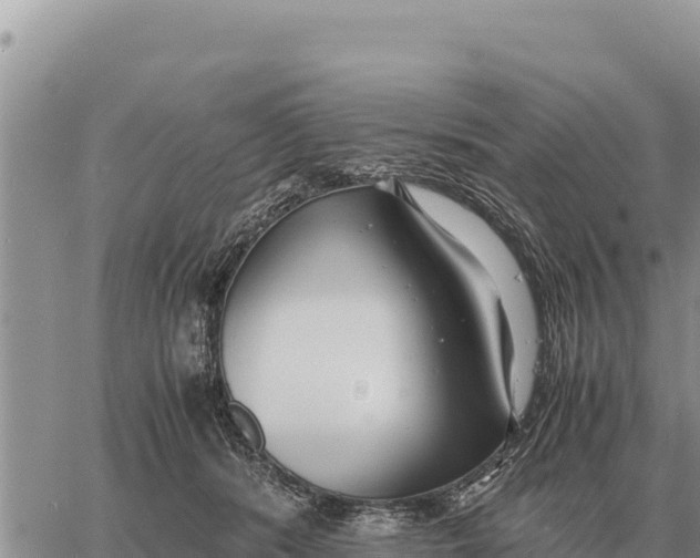 X0000061110416200512091822