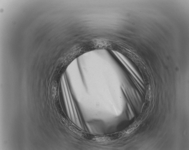 X0000061110417200512091822