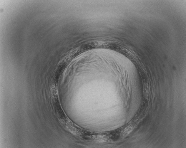 X0000061110419200512091822