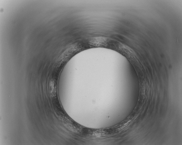 X0000061110420200512091822