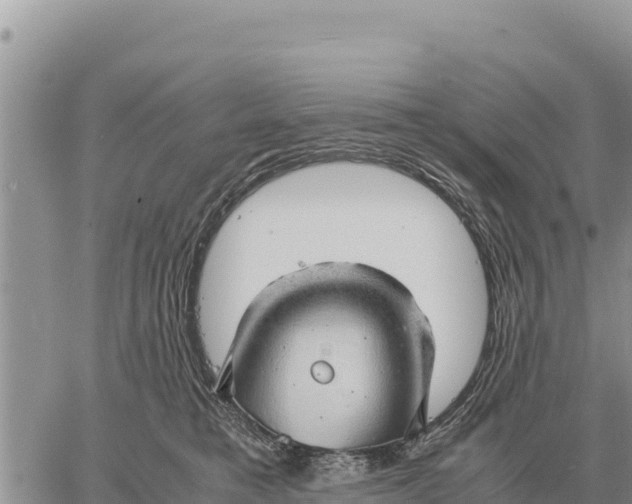 X0000061110421200512091822