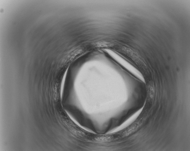 X0000061110422200512091822