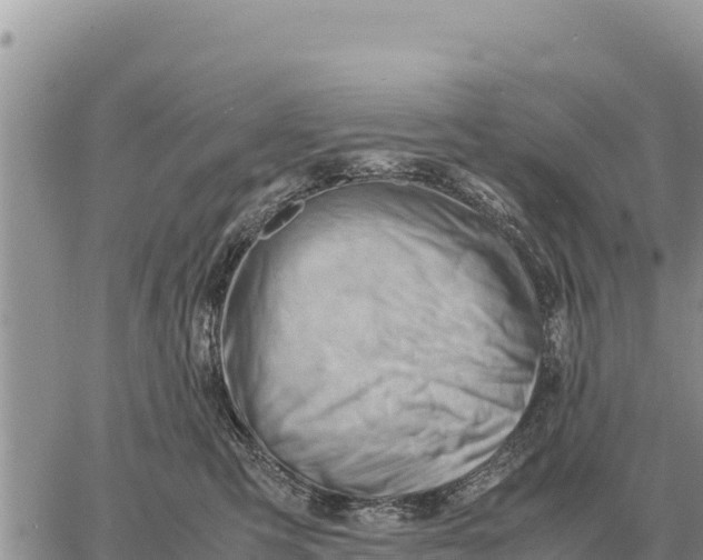 X0000061110423200512091822