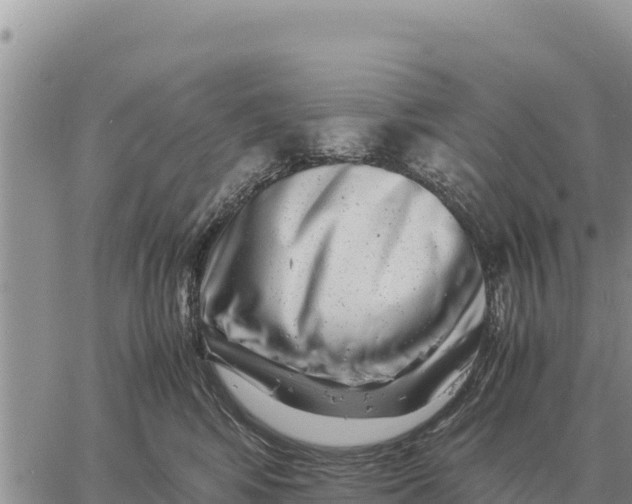 X0000061110424200512091822