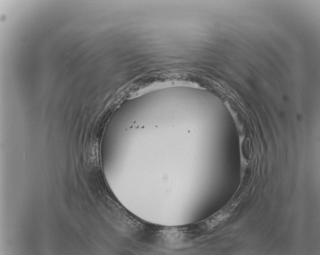 X0000061110425200512091822