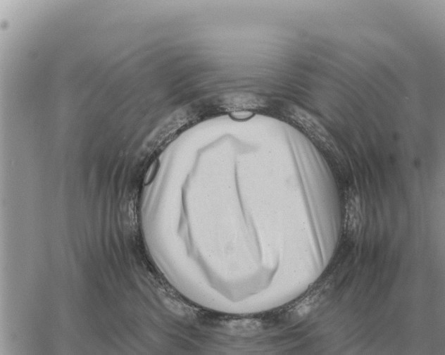 X0000061110426200512091822