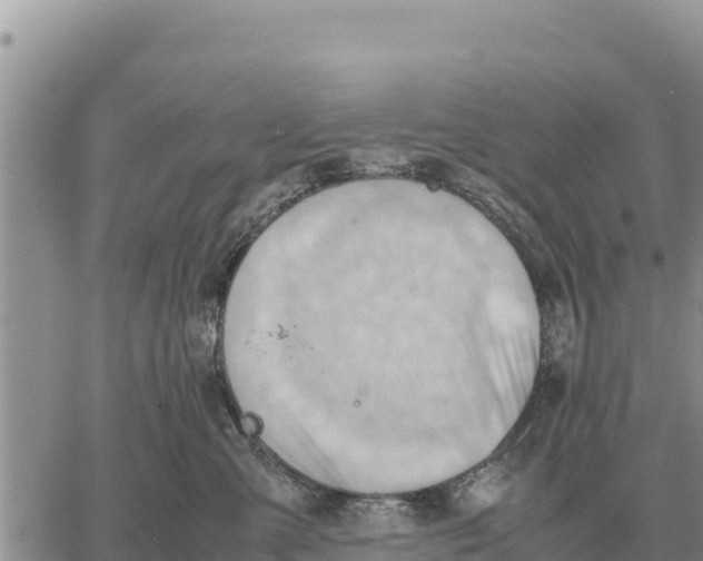 X0000061110427200512091822