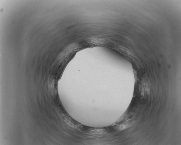 X0000061110428200512091822