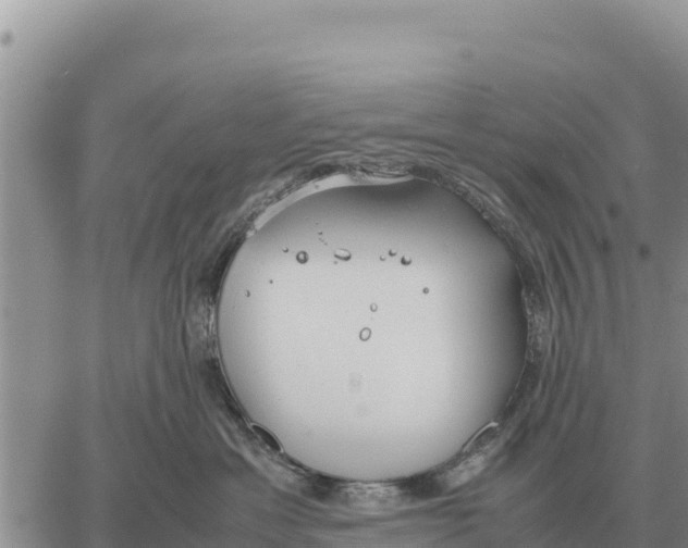 X0000061110429200512091822