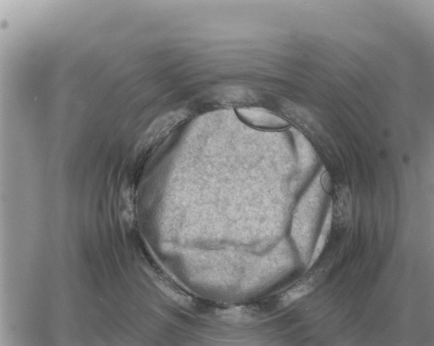 X0000061110430200512091822