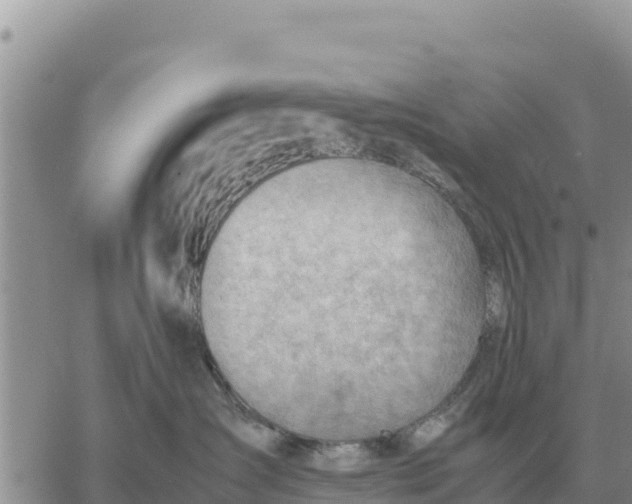 X0000061110431200512091822