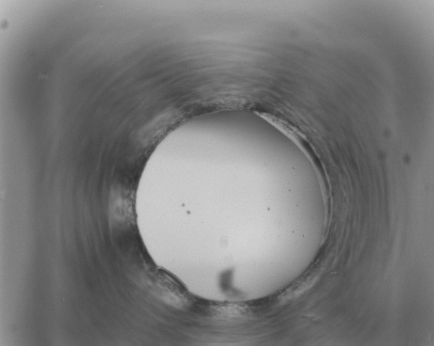 X0000061110432200512091822