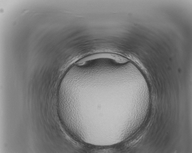 X0000061110433200512091821