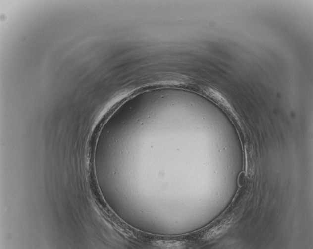 X0000061110435200512091821