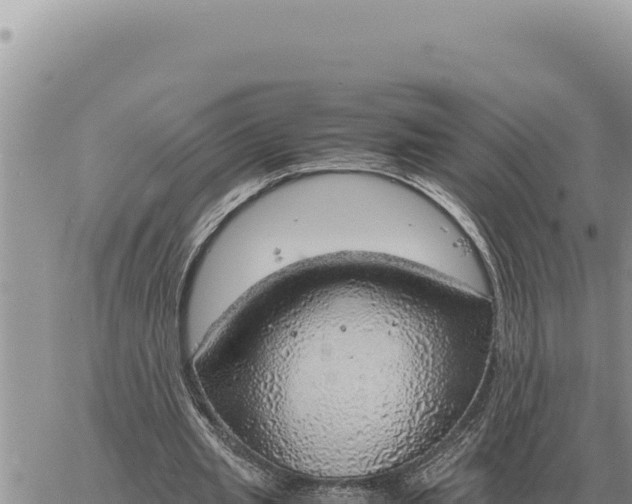 X0000061110437200512091821